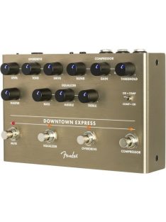 Fender Downtown Express Bass station