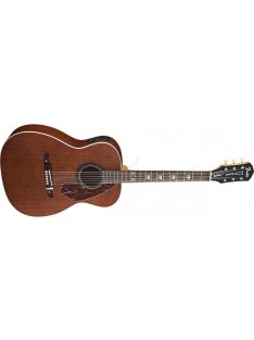 Fender Tim Armstrong Hellcat