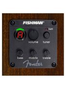 Fender Tim Armstrong Hellcat