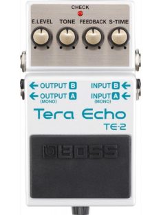 Boss TE-2 Tera Echo