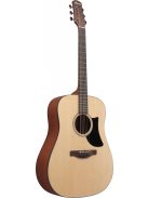 IBANEZ Advanced Acoustic 6-Str Natural Low Gloss