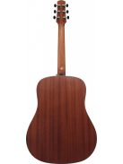 IBANEZ Advanced Acoustic 6-Str Natural Low Gloss