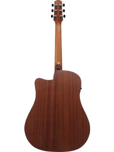 IBANEZ Advanced Acoustic 6-Str Natural Low Gloss