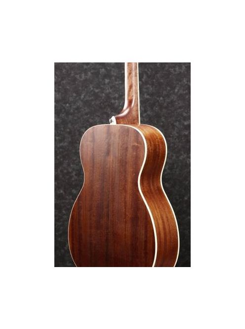 Ibanez Acoustic Guitar Artwood Thermo Aged OPN - Open Pore Natural