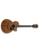 Ibanez AE245 Acoustic Guitar