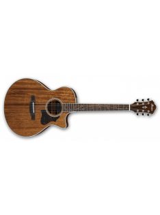 Ibanez AE245 Acoustic Guitar