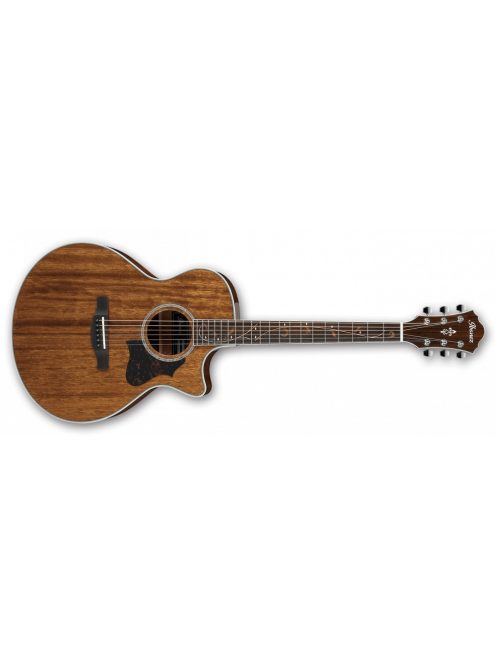 Ibanez AE245 Acoustic Guitar