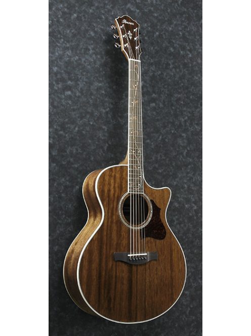 Ibanez AE245 Acoustic Guitar