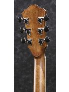Ibanez AE245 Acoustic Guitar