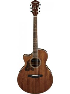 Ibanez Acoustic Guitar LEFTHAND NT Natural High Gloss