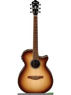   Ibanez Acoustic Guitar AEG NEW Finish NNB Natural Browned Burst