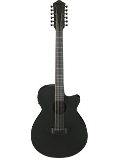 IBANEZ AEG 12 húros elektro akusztikus gitár Black Out