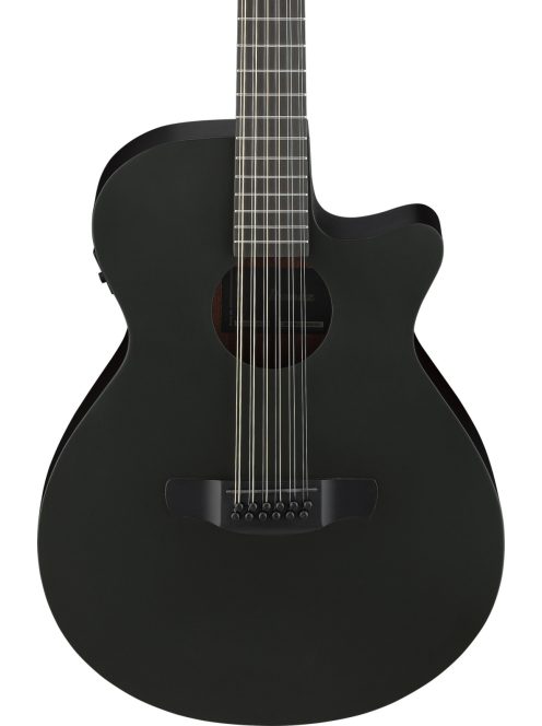 IBANEZ AEG 12 húros elektro akusztikus gitár Black Out