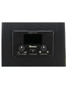 IBANEZ AEG 12 húros elektro akusztikus gitár Black Out