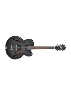 Ibanez AF55 -TKF üreges testű jazzgitár