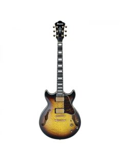   Ibanez Hollowbody Guitar Artcore Expressionist Series - AYS - Antique Yellow Sunburst