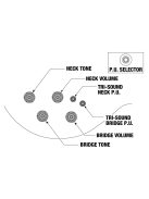 Ibanez AR420-TBG Elektromos Gitár