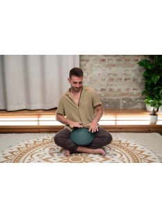   Meinl Sonic Energy CSTD1DG 8 hangos Compact Steel Tongue Drum,