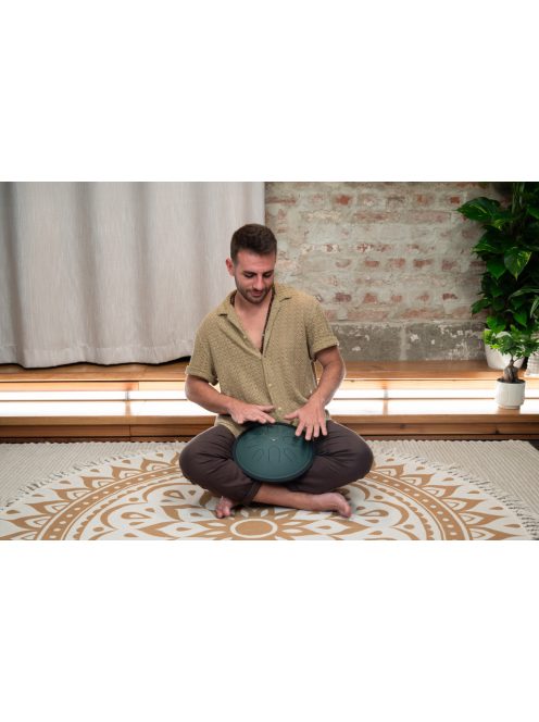 Meinl Sonic Energy CSTD1DG 8 hangos Compact Steel Tongue Drum,