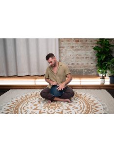   Meinl Sonic Energy CSTD2NB 8 hangos Compact Steel Tongue Drum,