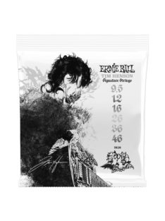   Ernie Ball 3826 Tim Henson signature elektromos gitárhúrszett - 9.5-46