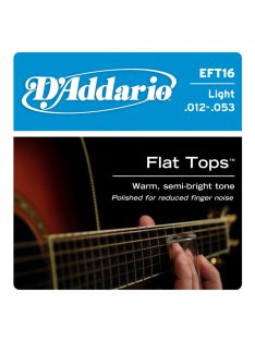   D'addario Flat Tops Phosphor Bronze 012-053 regular light