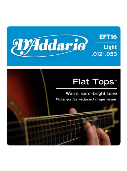 D'addario Flat Tops Phosphor Bronze 012-053 regular light