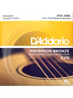   D'Addario phosphor bronze 012-056  bluegrass light top/medium bottom