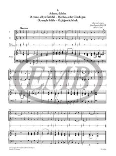   Karácsonyi muzsika-Kamarazene sorozat választható hangszerösszeállítással