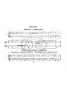 Papp Lajos:  27 kis zongoradarab