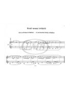 Papp Lajos:  27 kis zongoradarab