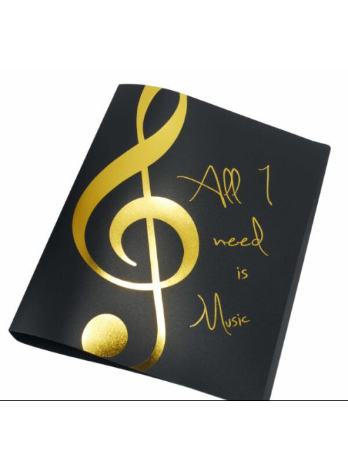 Két gyűrűs, arany színű "All I need is Music" feliratos és violinkulcs mintás mappa
