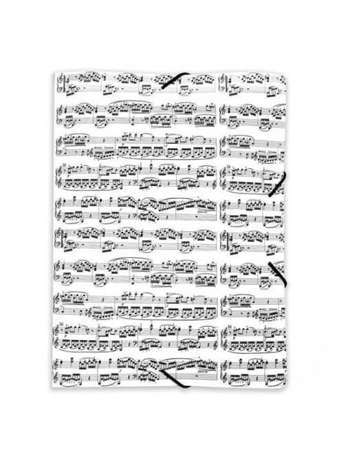 Fehér, kotta mintás gumis mappa A4