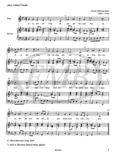Engel, Gerhard: Die Flötenmaus. Spielbuch
