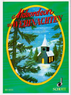 Akkordeon zu Weihnachten