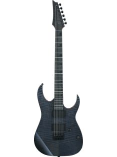 Ibanez GRGR221FA-TDK elektromos gitár