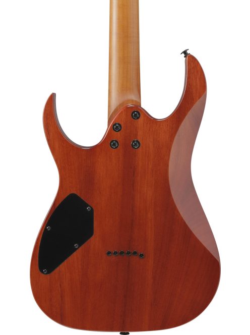 Ibanez GRGR221FA-TDK elektromos gitár