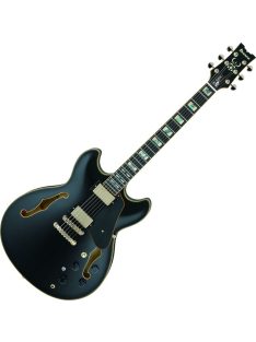 Ibanez JSM20 John Scofield üreges testű jazzgitár