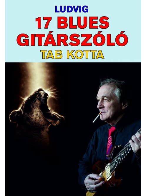 17  Blues gitárszóló CD melléklettel