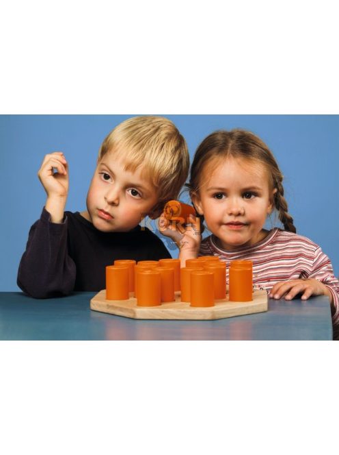 Meinl-Nino Shake and play