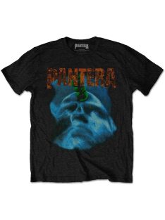 PANTERA: FAR BEYOND DRIVEN WORLD TOUR Unisex Póló
