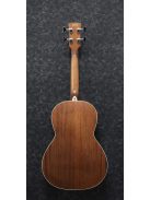 Ibanez PNB14E OPN parlor akusztikus basszusgitár