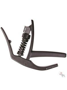 Planet Waves NS Artist Capo
