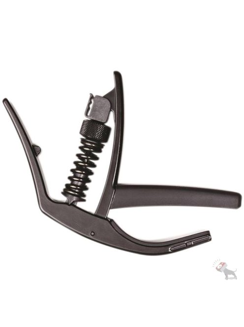 Planet Waves NS Artist Capo
