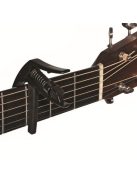 Planet Waves NS Artist Capo