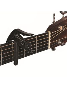 Planet Waves NS Artist Capo