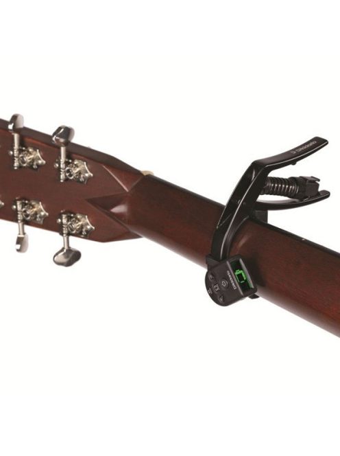 Planet Waves NS Artist Capo