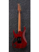 Ibanez RG420-Serie - Blue Reef Gradation