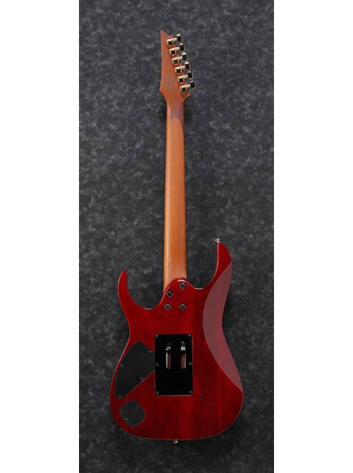 Ibanez RG420-Serie - Blue Reef Gradation