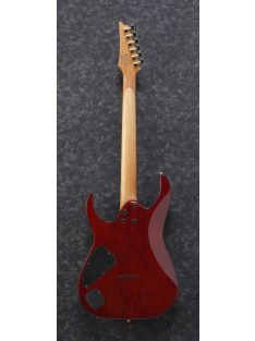 Ibanez RG421-Serie Blue Wave Black